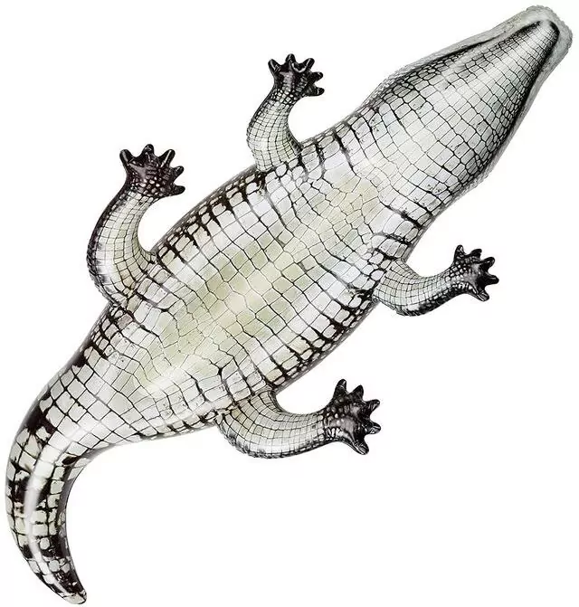 Aligator do pływania - tantis.pl