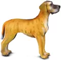 Pies dog niemiecki L - tantis.pl
