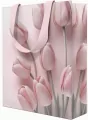 Torebka prezentowa 23x18x10cm - tantis.pl