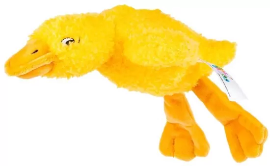 Sensoryczna Gęś żółta