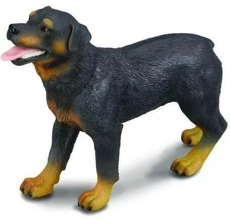 Collecta. Figurka. Pies rasy rottweiler L - tantis.pl