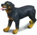 Collecta. Figurka. Pies rasy rottweiler L - tantis.pl