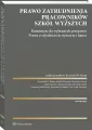 Prawo zatrudnienia pracowników szkół wyższych - tantis.pl