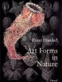 Art Forms in Nature Prints of Ernst Haeckel - tantis.pl