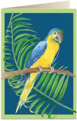Karnet B6 + koperta: Papuga