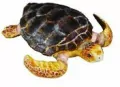 Collecta. Żółw Karetta - tantis.pl