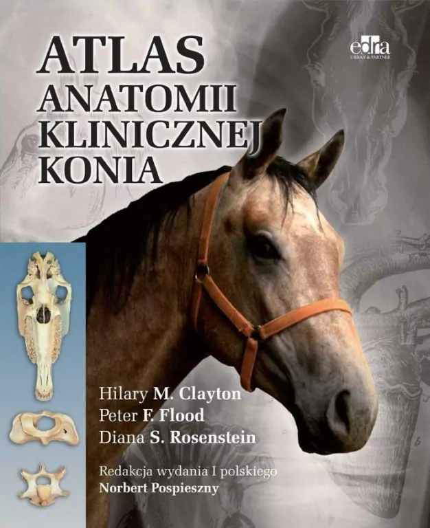 Atlas anatomii klinicznej konia - tantis.pl