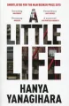 A little Life - tantis.pl