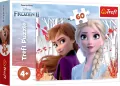 Puzzle 60. Zaczarowany świat Anny i Elsy. 17333 - tantis.pl