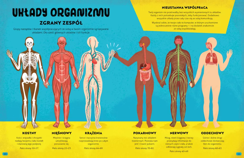 Wszystko o CIELE - tantis.pl