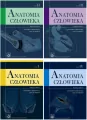 Pakiet: Anatomia człowieka. Tom 1 - 4. Podręczniki dla studentów - tantis.pl