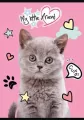 Zeszyt A5 16k kratka MY LITTLE FRIEND mix 1szt. - tantis.pl