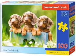 Puzzle 100 Słodkie jamniki