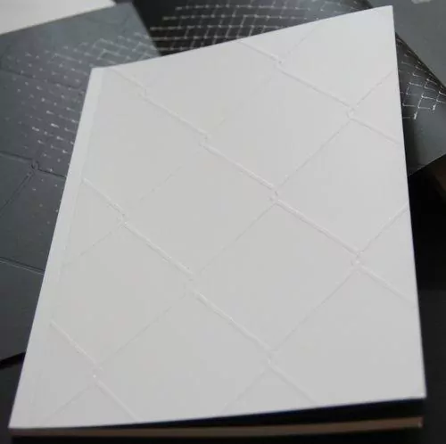 Dominik Lejman Płot - katalog do wystawy - tantis.pl