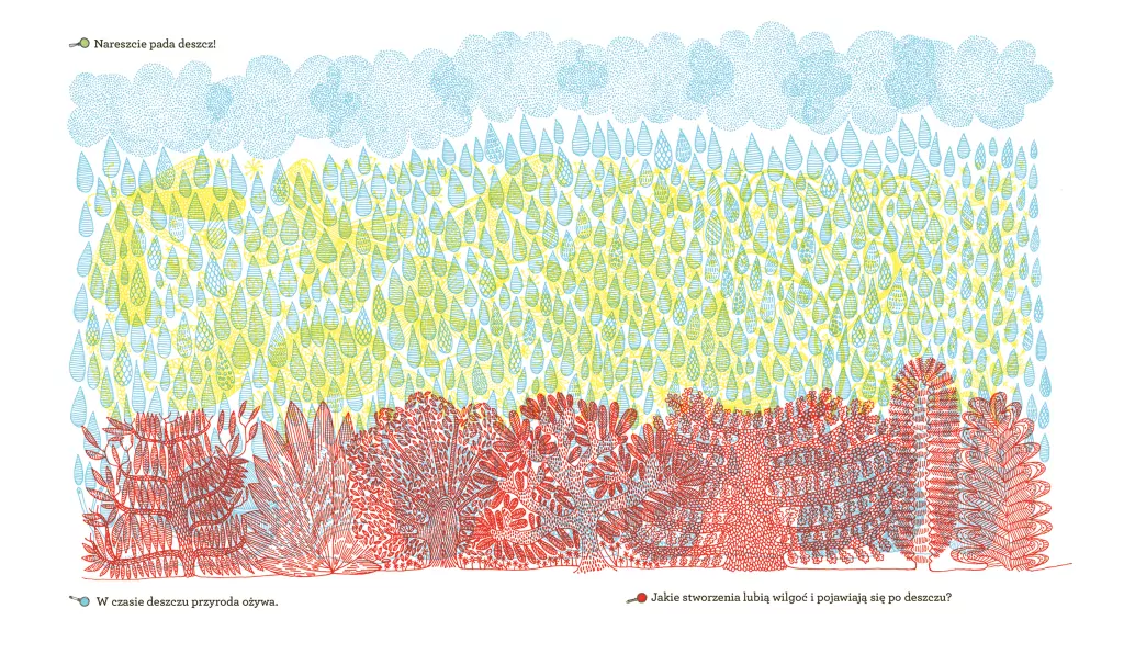 Co kryje las? - tantis.pl