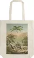 Torba bawełniana na ramię Szoperka STBAG 02 Palma - tantis.pl