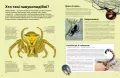 Велика книга комах - tantis.pl