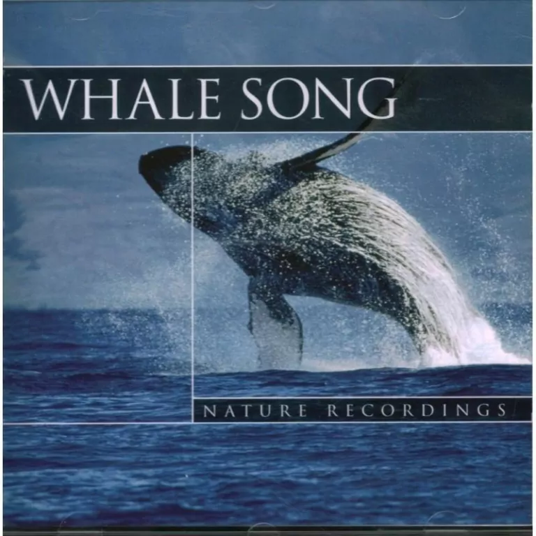 Whale Song - Wieloryby, Nature Recordings CD - tantis.pl