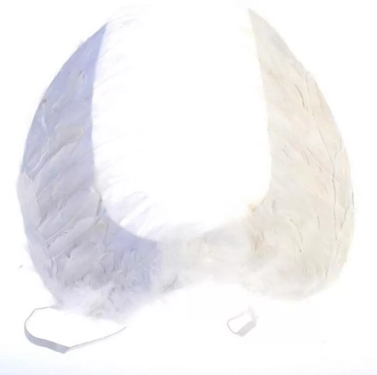 Arpex. Skrzydełka cherubina - tantis.pl