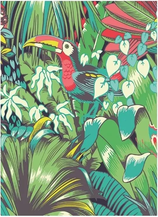 Karnet B6 z kopertą Toucan - tantis.pl