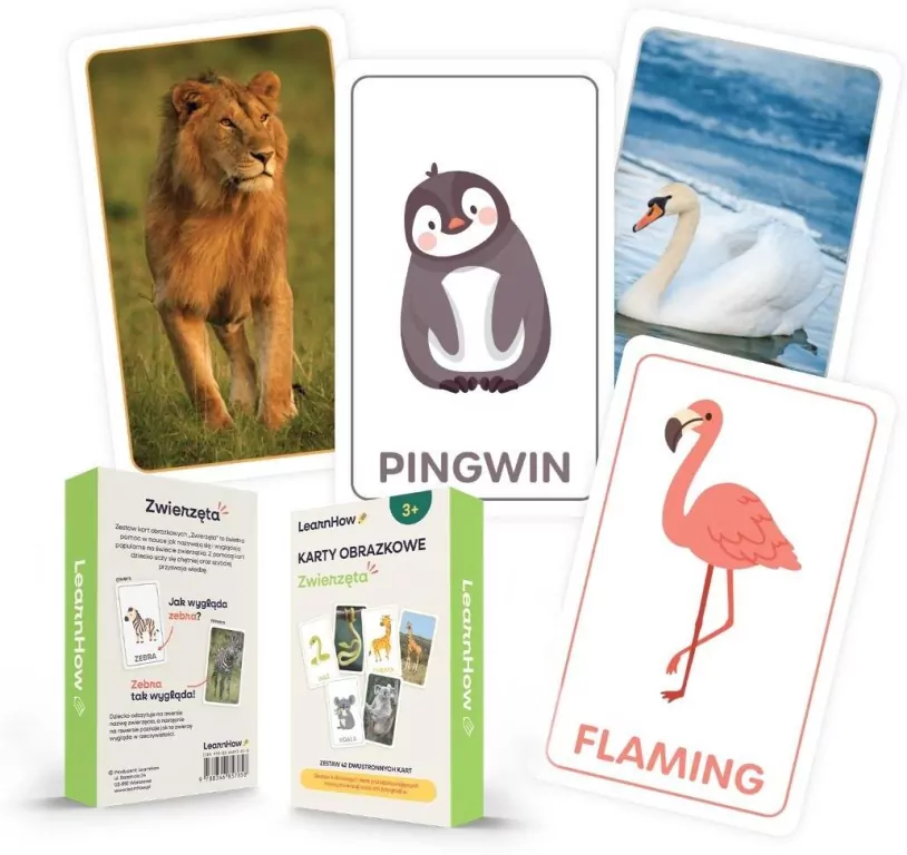 Karty obrazkowe - zwierzęta - tantis.pl