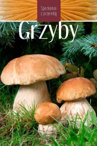Grzyby. Spotkania z przyrodą - tantis.pl