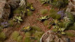 Gamers Grass: Laser Plants - Dumb Cane - Difenbachia