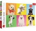 Puzzle 500. Psy - tantis.pl
