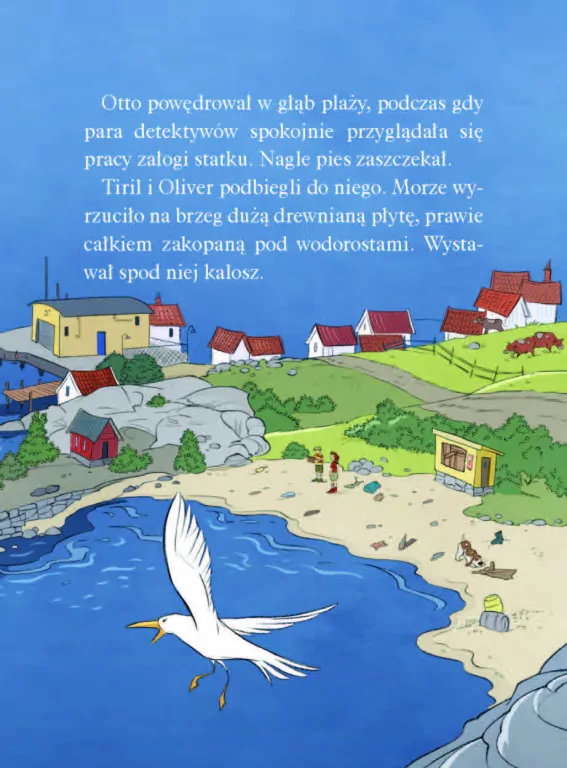 Operacja Wrak. Biuro Detektywistyczne nr 2. Tom 13 - tantis.pl