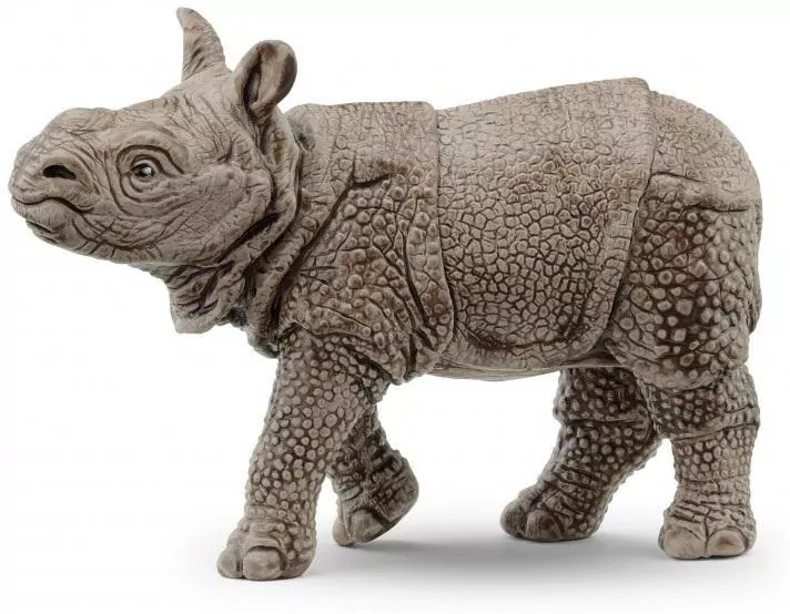 Młody Nosorożec indyjski - tantis.pl