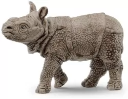 Młody Nosorożec indyjski