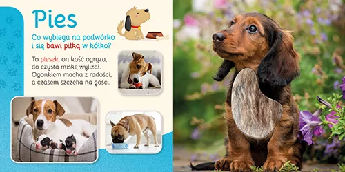 Pupile. Przytul mnie - tantis.pl