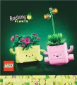 LEGO® Bujające się roślinki 11506 - tantis.pl