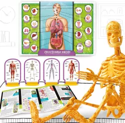 Mały Geniusz - Poznaj ciało człowieka