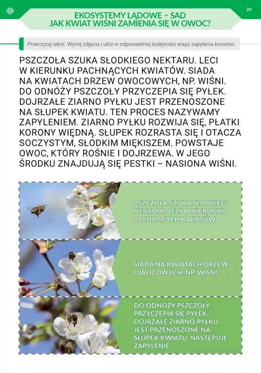 Podróż przez pory roku cz.3 - tantis.pl