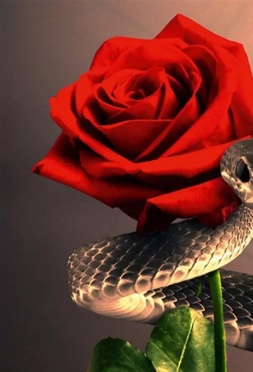 Gods of Lies. Bogowie. Tom 3 - tantis.pl