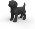 Labrador szczeniak czarny - tantis.pl