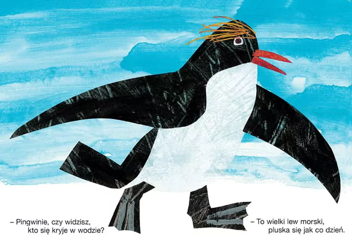 Miś widzi! - tantis.pl