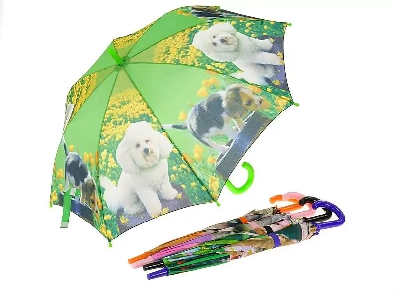 Parasol mix - tantis.pl