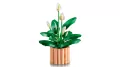 LEGO®. Botanical Collection. Skrzydłokwiat. 11504 - tantis.pl
