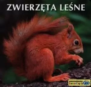 Zwierzęta leśne. Poznajemy zwierzęta - tantis.pl