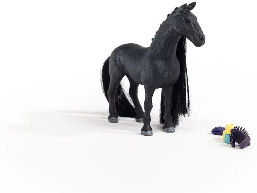 Piękna klacz. Criollo Definitivo - tantis.pl