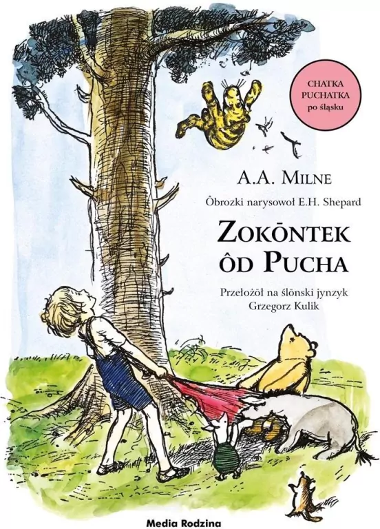 Zokontek od Pucha. Chatka Puchatka po śląsku - tantis.pl