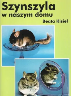 Szynszyla w naszym domu