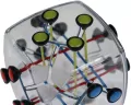 Brainstring - tantis.pl