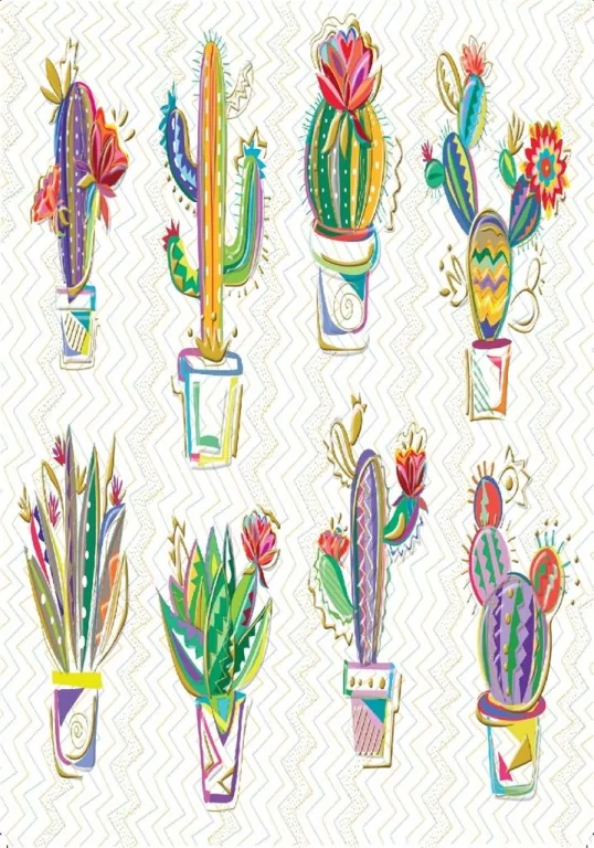 Karnet B6 + koperta. Kaktusy - tantis.pl