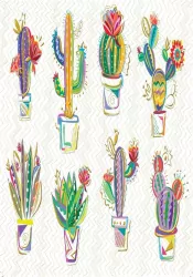 Karnet B6 + koperta. Kaktusy