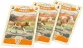 Great Western Trail. Druga edycja polska - tantis.pl