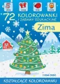 Zima. 72 kolorowanki i zabawy edukacyjne - tantis.pl