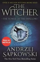 The Tower of the Swallow. The Witcher